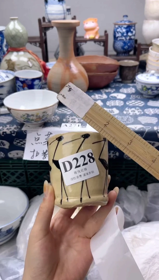 瓷片钠*    D228