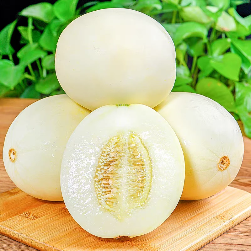 陕西头茬阎良白皮甜瓜新鲜现摘4.5斤整箱水果当季自然成熟