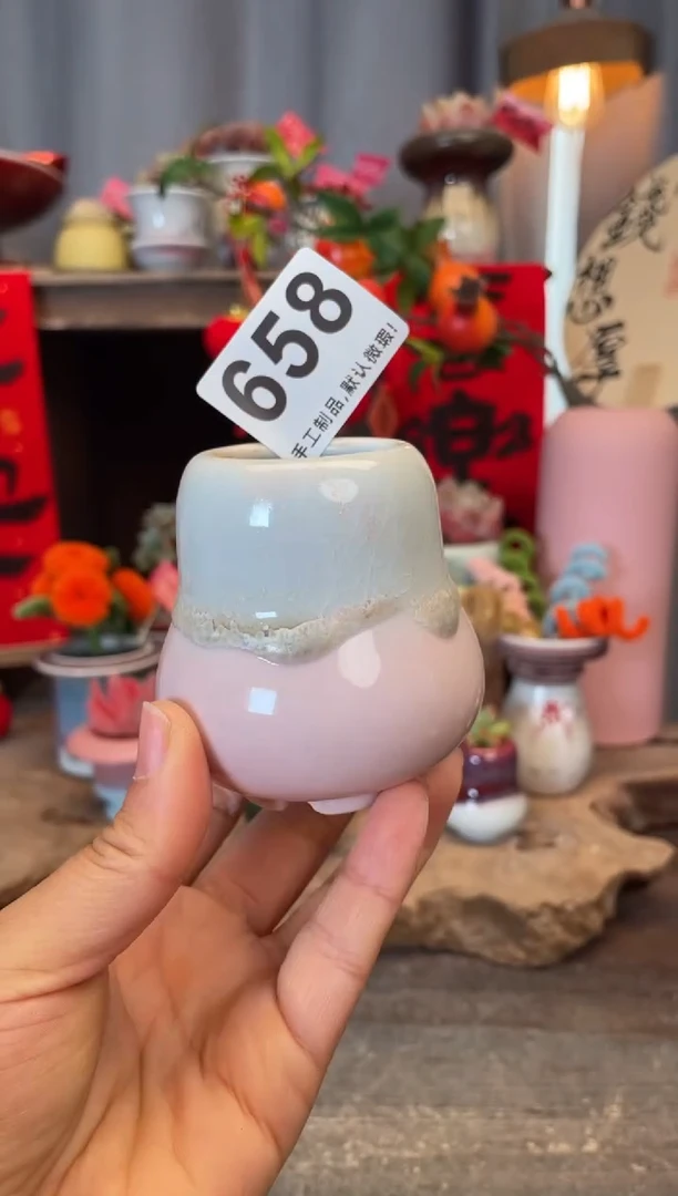 【闪购商品】摆件658知木小芳花盆