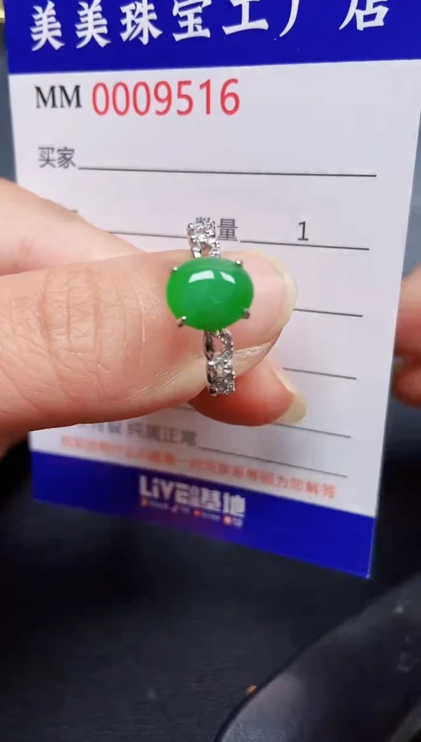 翡翠银S925镶嵌颈饰9516