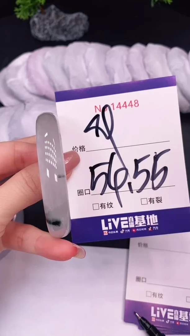 未镶嵌手镯翡翠14448