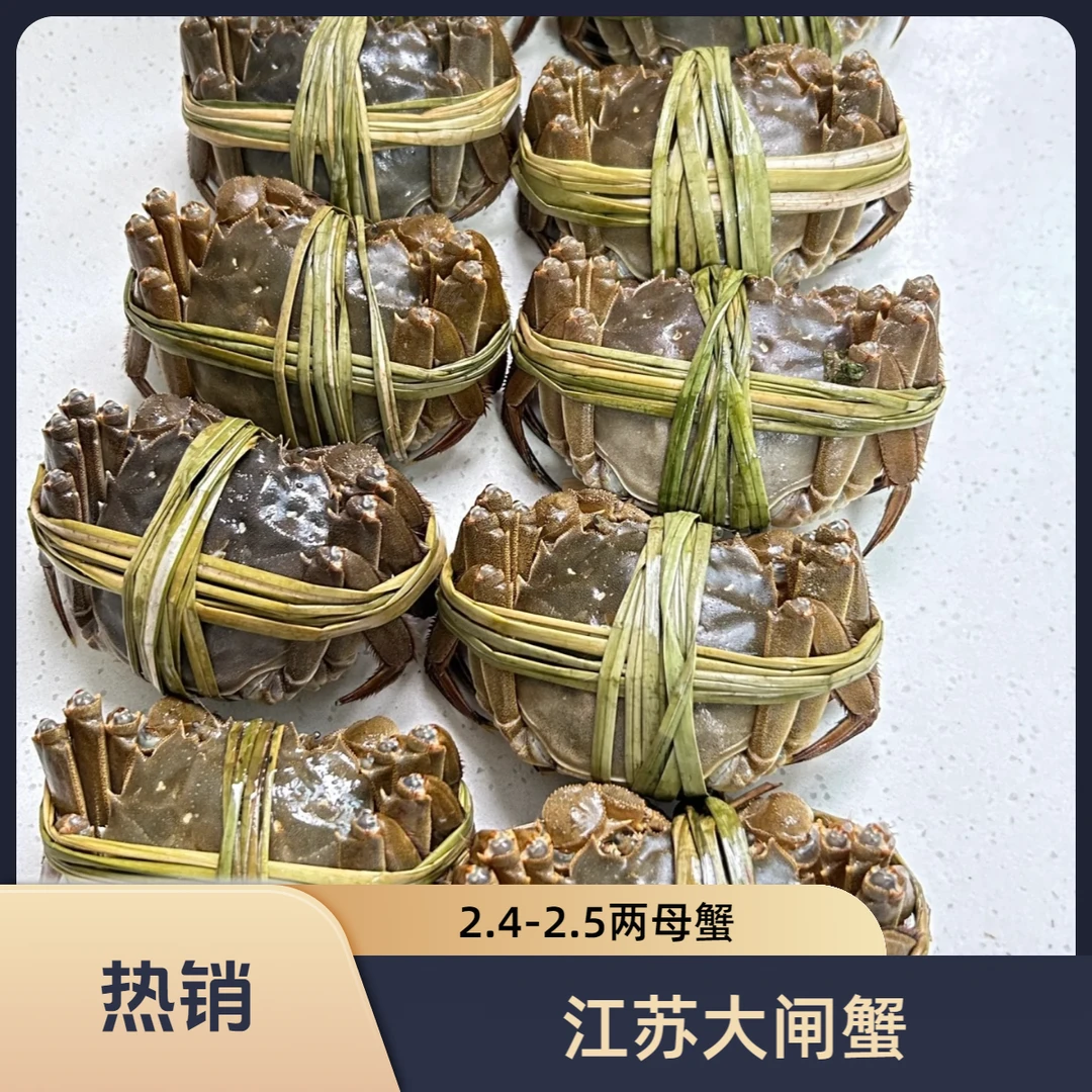（活蟹）精品2.4-2.5两江苏大闸蟹母蟹养殖蟹 3只-10只装 （蒸熟需备注）