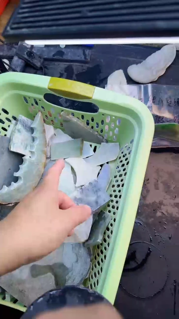 【闪购商品】翡翠颈饰未镶嵌1号多样性发其一件