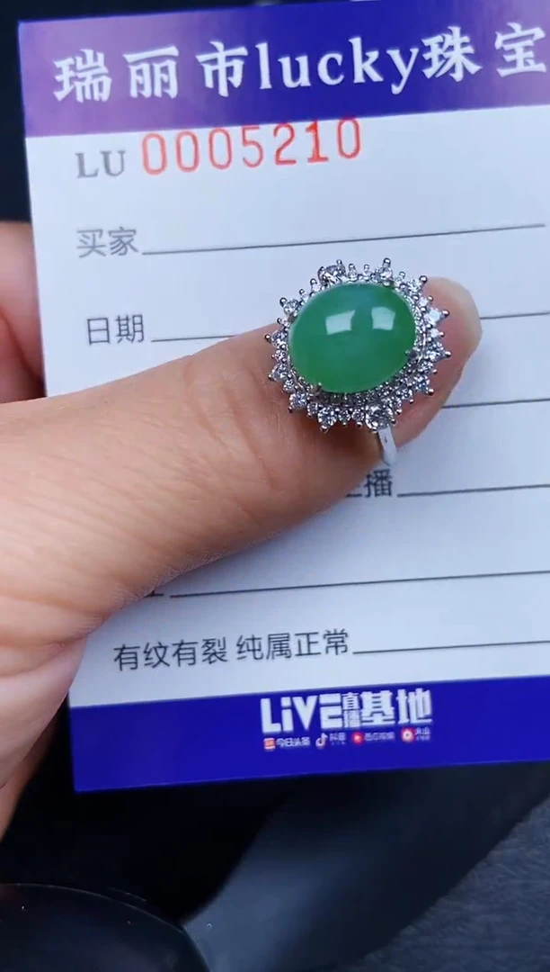 翡翠银S925镶嵌颈饰5210