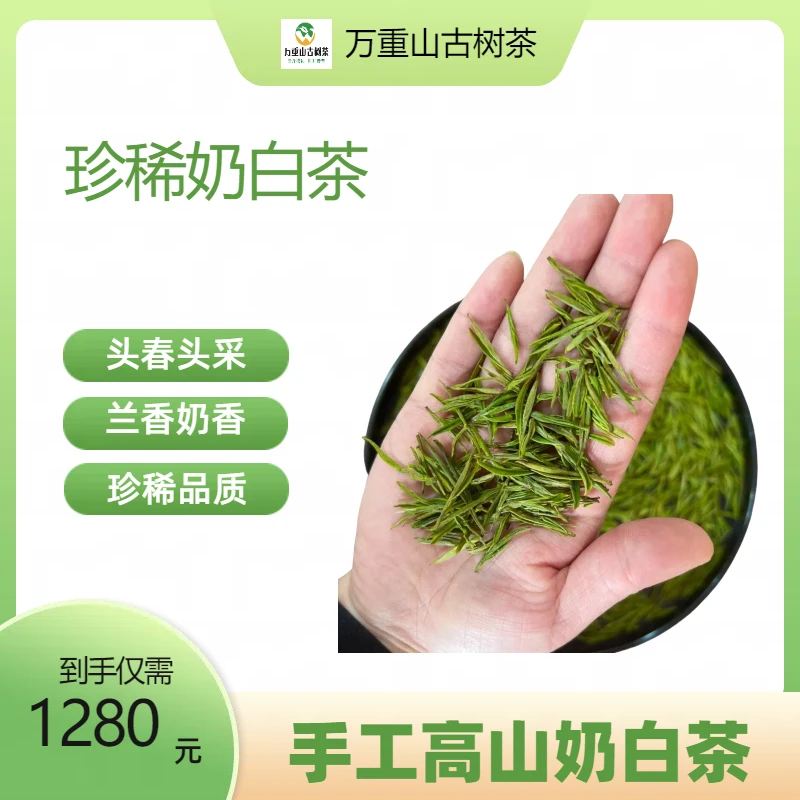 2025新茶头采/高山明前/凤尾白茶醇香耐泡兰香奶香1280