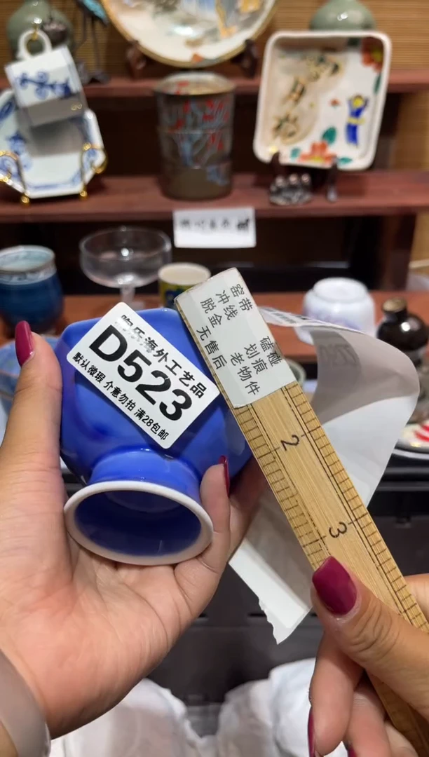 瓷片小*皮             D523