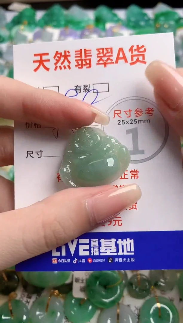 翡翠18K金镶嵌颈饰24000363