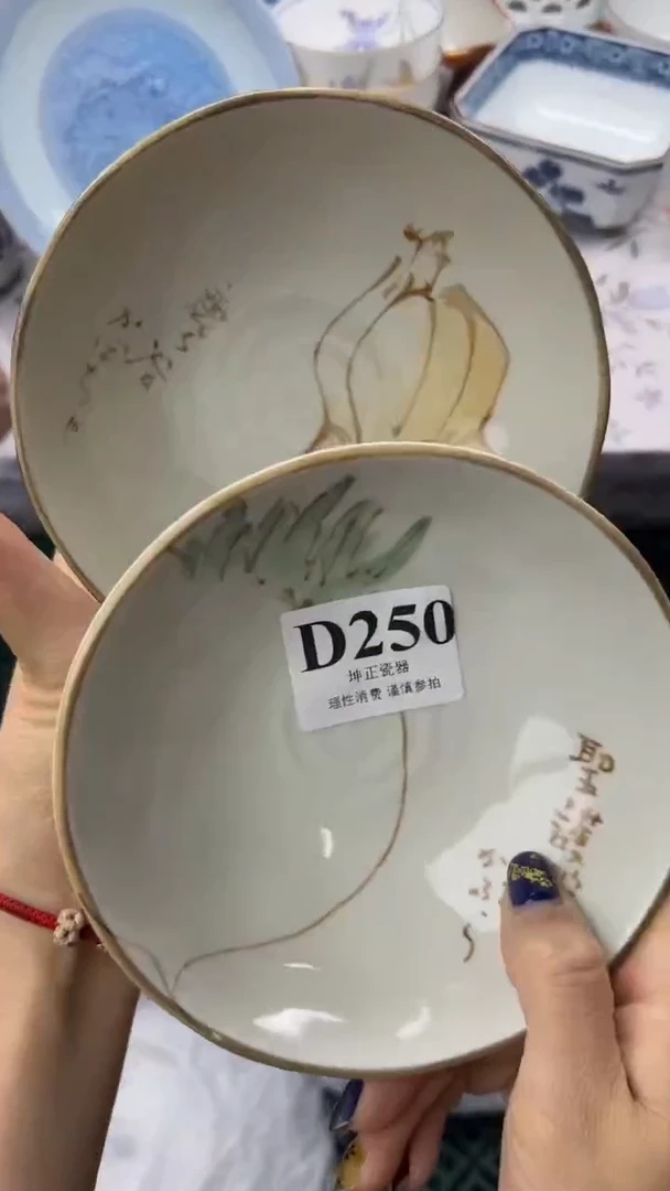 瓷片          D250