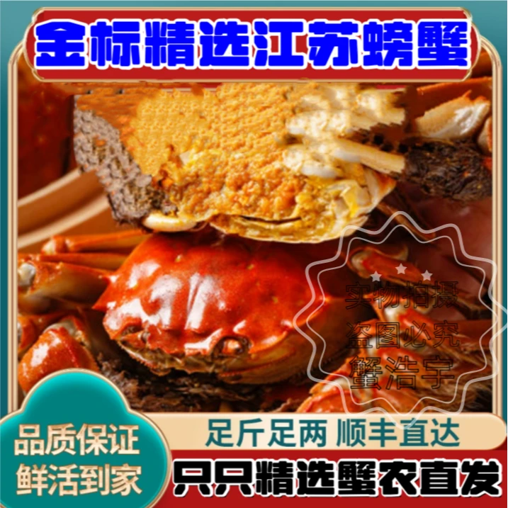 【金标活蟹】全母8只装10只装（2.5-2.8两）洪泽湖螃蟹礼盒顺丰包邮1
