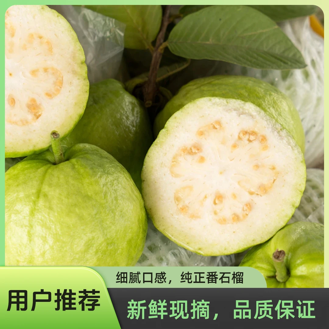 (脆口)广东白心番石榴新鲜芭乐爽脆低糖南方农家果园直供当季水果