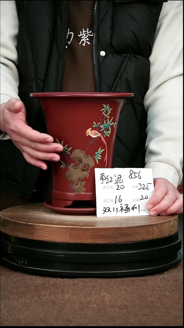 紫砂花盆花卉园艺856+Z
