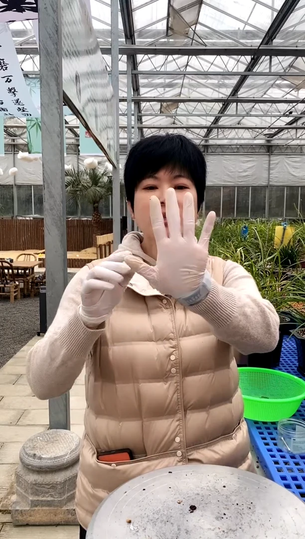 【闪购商品】分苗神器5把