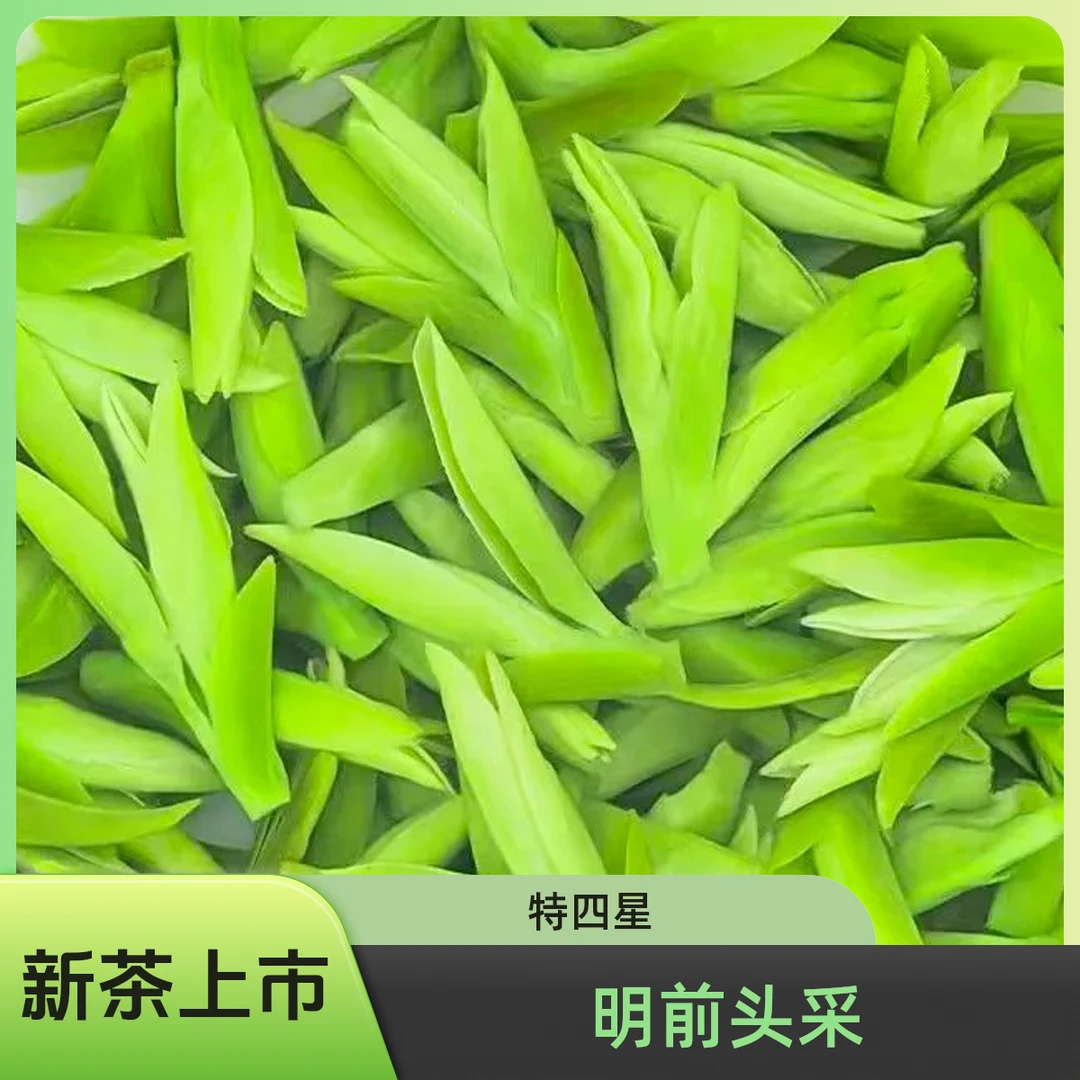 2025新茶明前头采珍稀白茶四星高品质正宗特级白茶浓香礼盒罐装