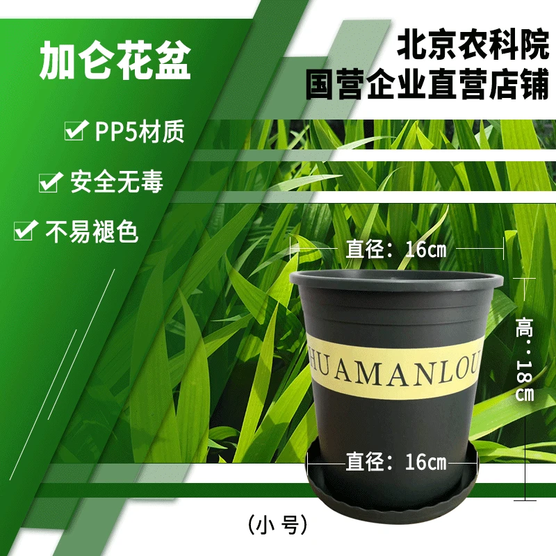 【农科院推荐】园艺加仑花盆塑料环球加仑盆多肉矮胖盆阳台小菜园