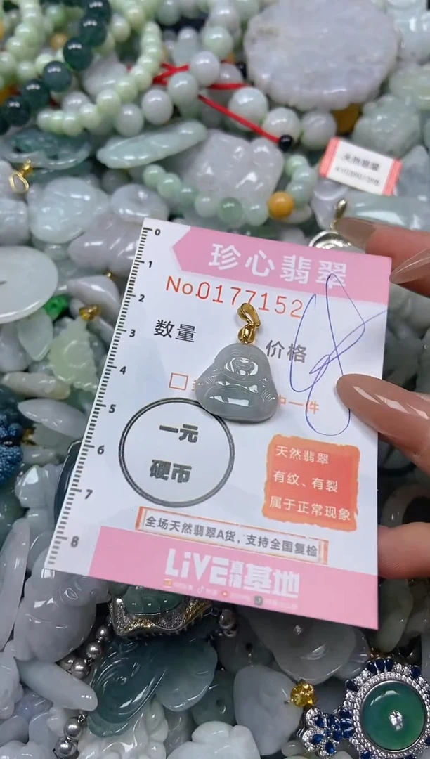 【闪购商品】翡翠颈饰未镶嵌闪购0177152