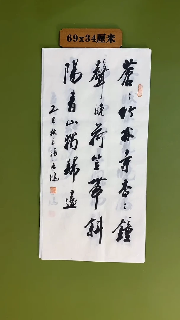 书法书法 张若鸿 尺寸69cm*34cm