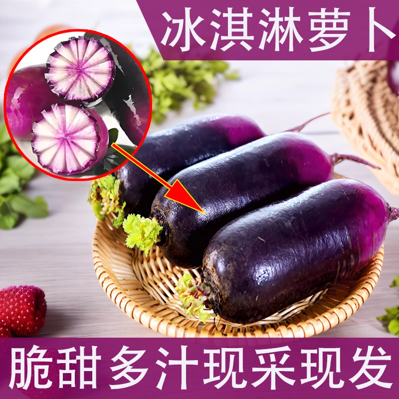冰淇凌萝卜水果萝卜脆甜爽口生吃新鲜现挖自种山东潍坊