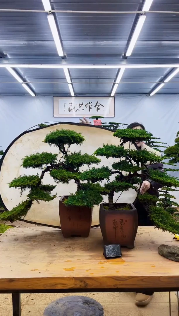 无花朵一物一拍，所见即所得