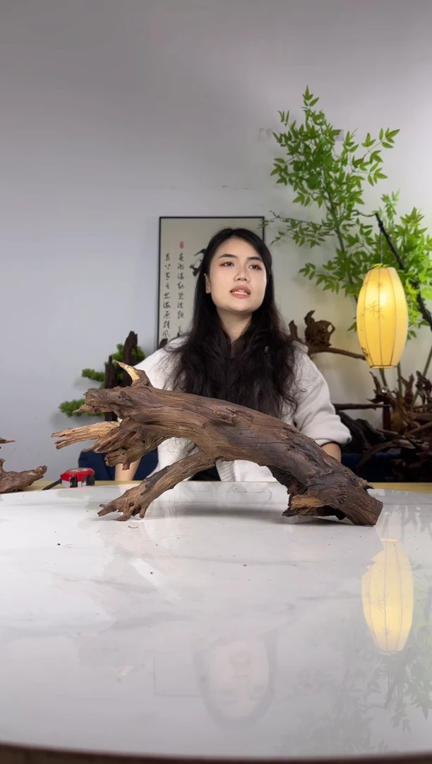 伴**行拍这个定向编号28