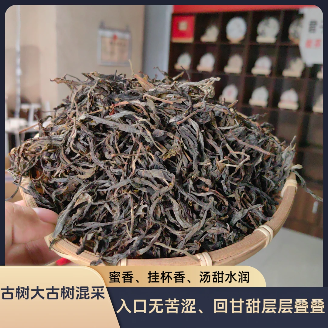 21年 古树大古树混采【头春大古树纯料】普洱生茶