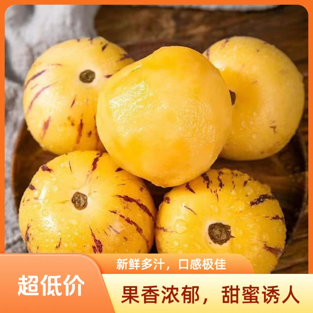 【真树上熟】云南石林人参果清香清甜新鲜采摘园果黄肉产地现摘现发