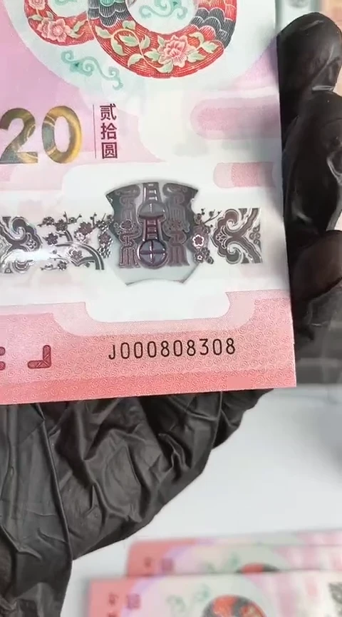 【闪购商品】塑料蛇钞单张号码000808308