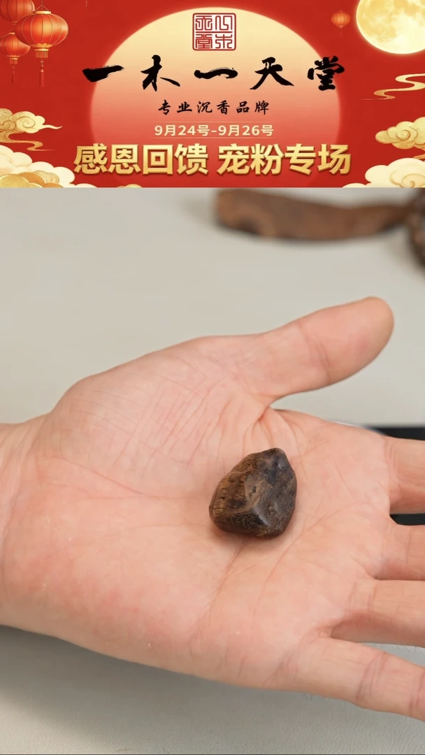 沉香沉香碎屑菲律宾莱特沉水5.7g