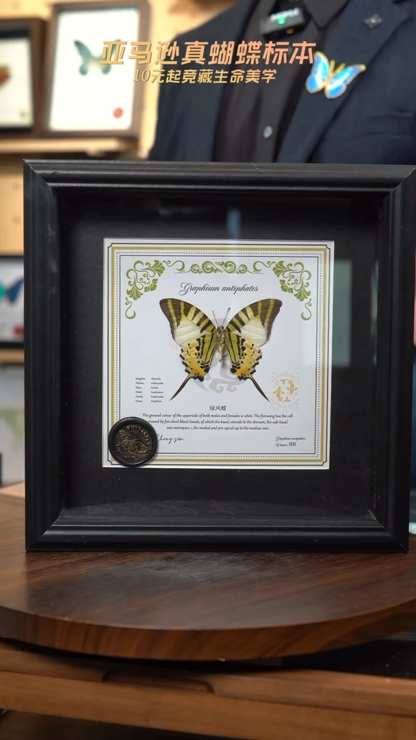 五指发财蝶双鱼款8寸欧式方框