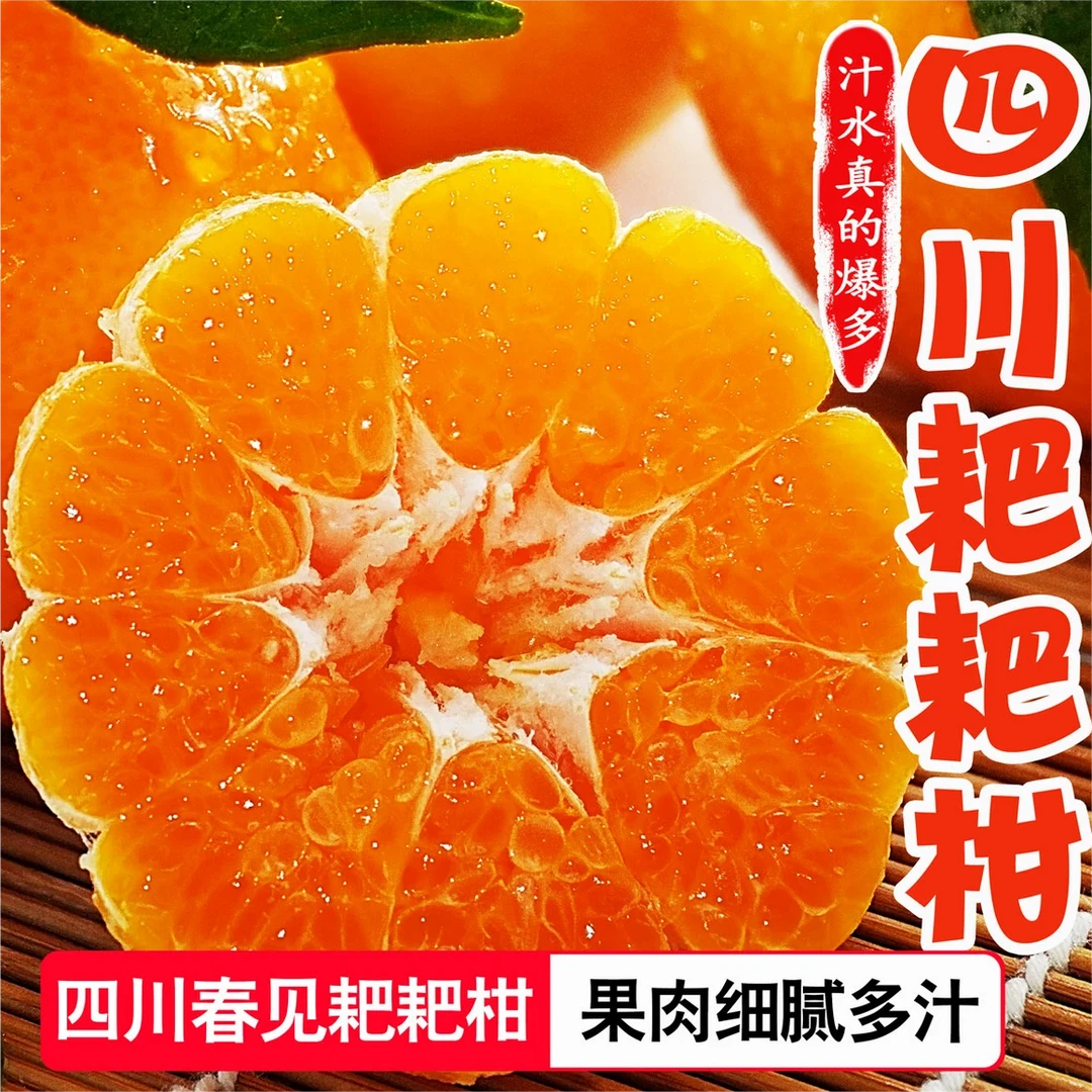 【实惠装】四川春见耙耙5/8斤柑橘子桔子丑八怪丑橘新鲜水果
