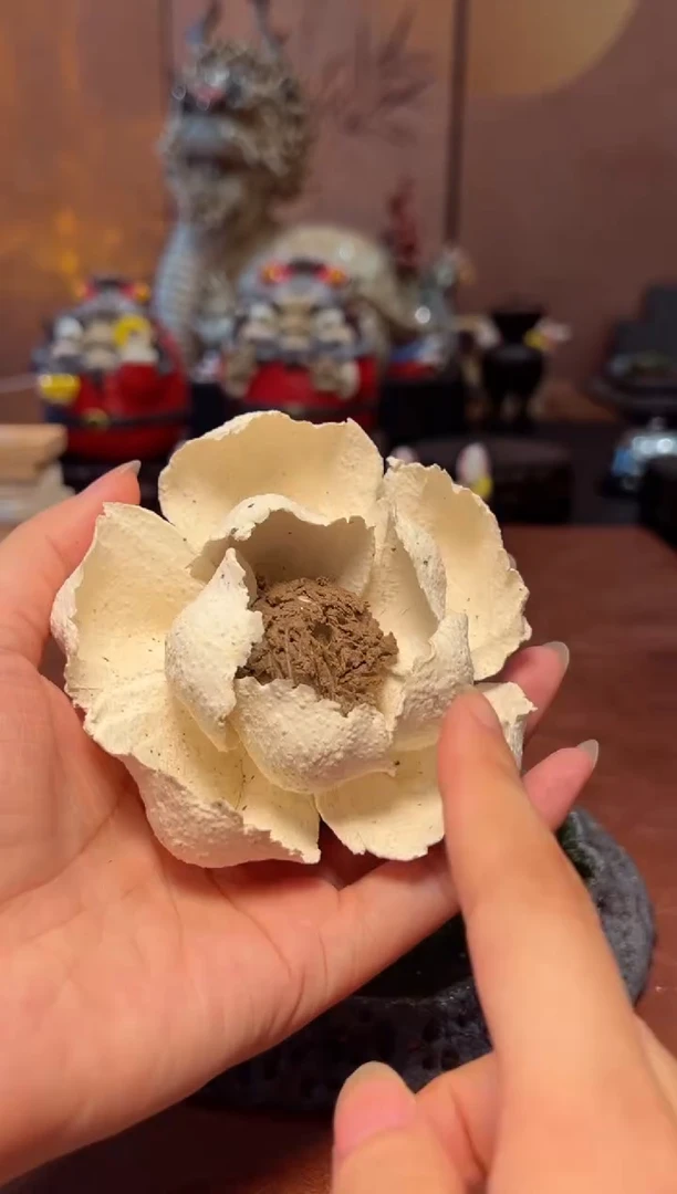 瓷片设计师款手工手作
