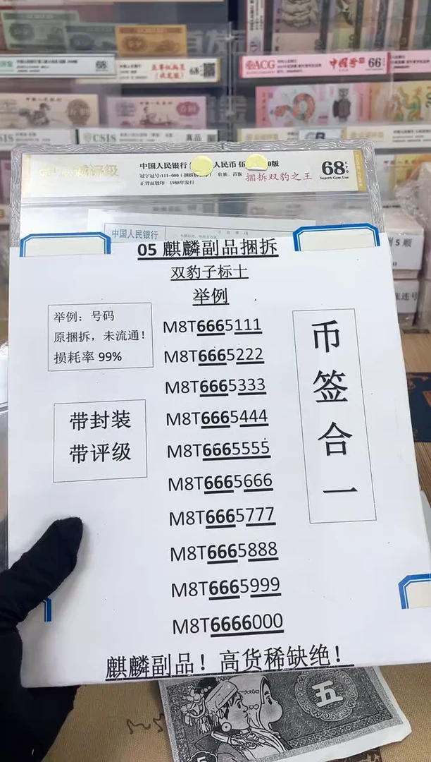 双豹子【捆拆双豹之王】