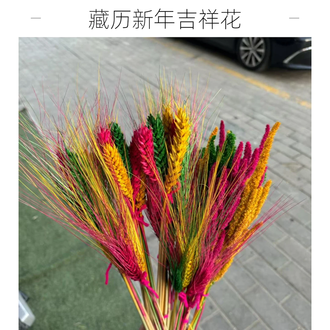 藏历新年吉祥花【拉萨发货】