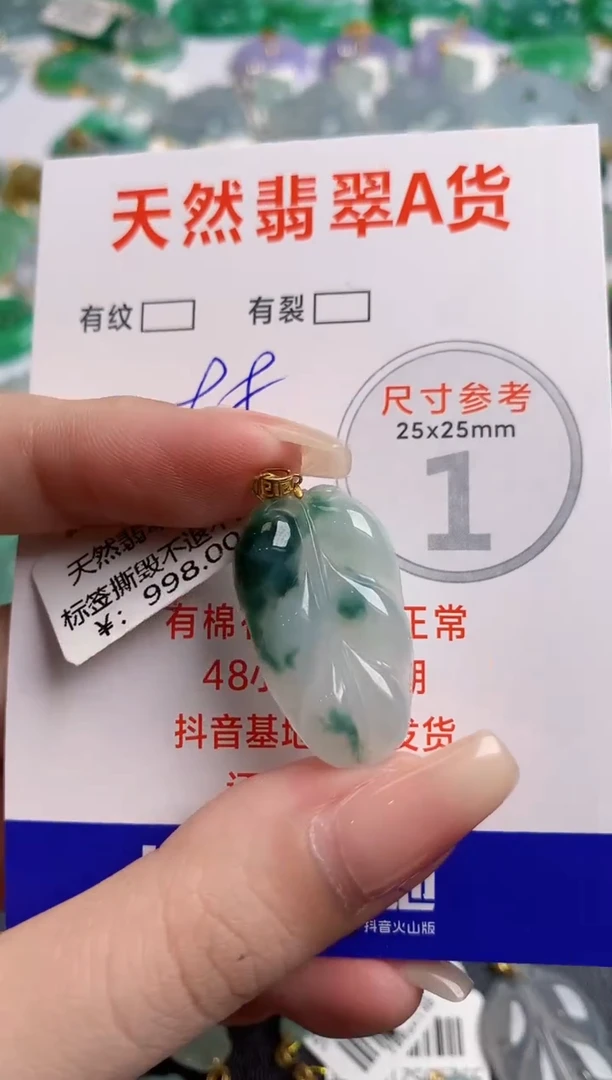 翡翠18K金镶嵌颈饰24000050