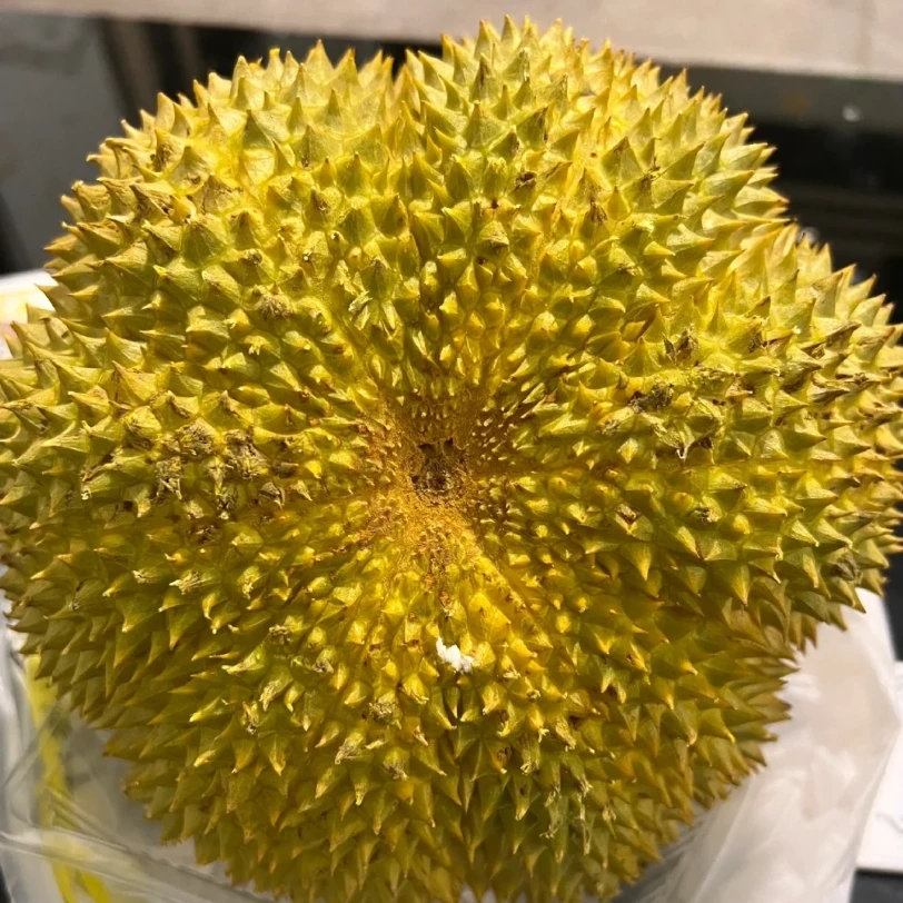 【泰国】甲仑新鲜榴莲2-5斤比金枕核大甲仑泰国