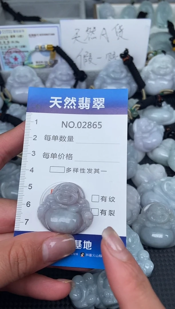 颈饰未镶嵌翡翠纯天然A货翡翠2865