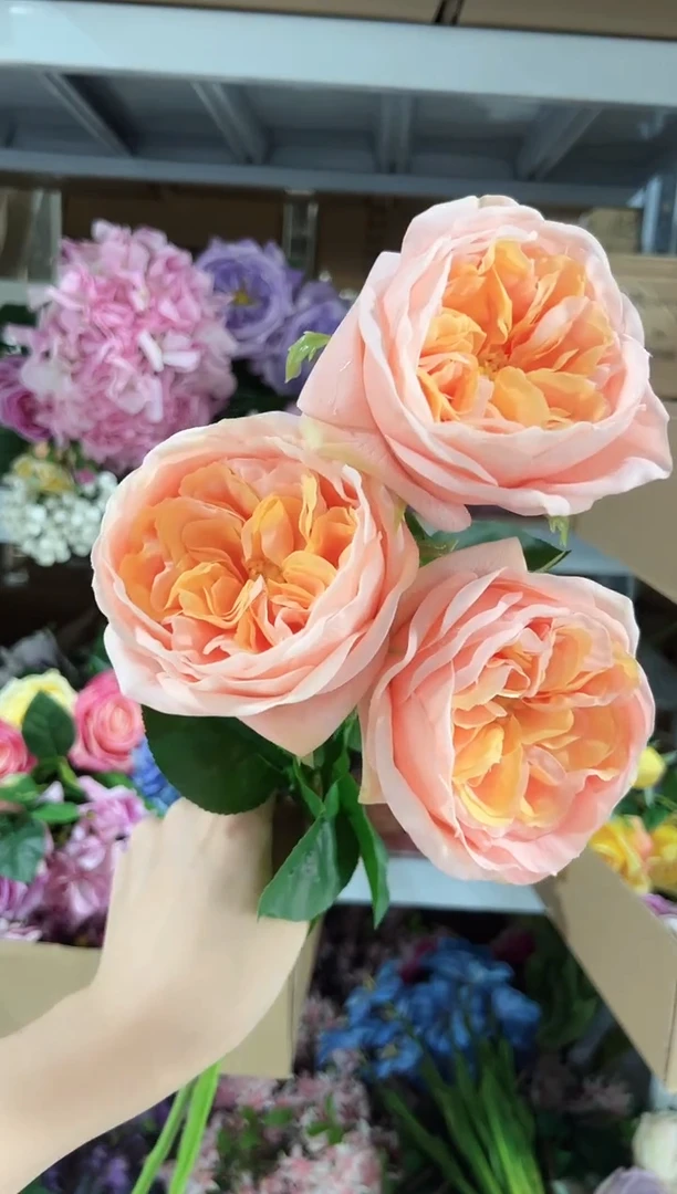3枝橙色手感保湿朱丽叶
