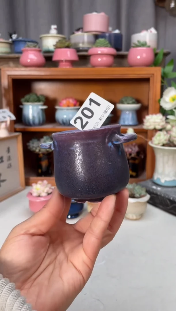 瓷片201小芳花盆直播编号