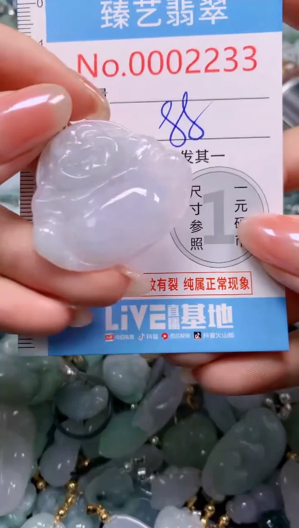 颈饰未镶嵌翡翠2233