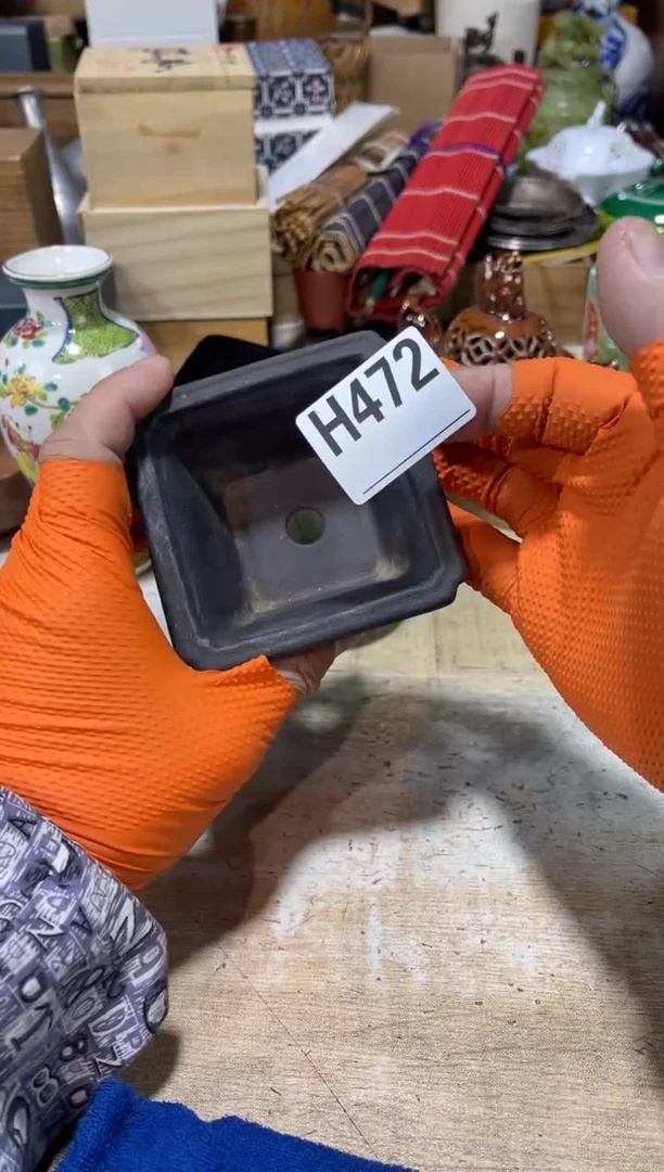 直播定闪专用链接一****光直播定闪专用链接8888