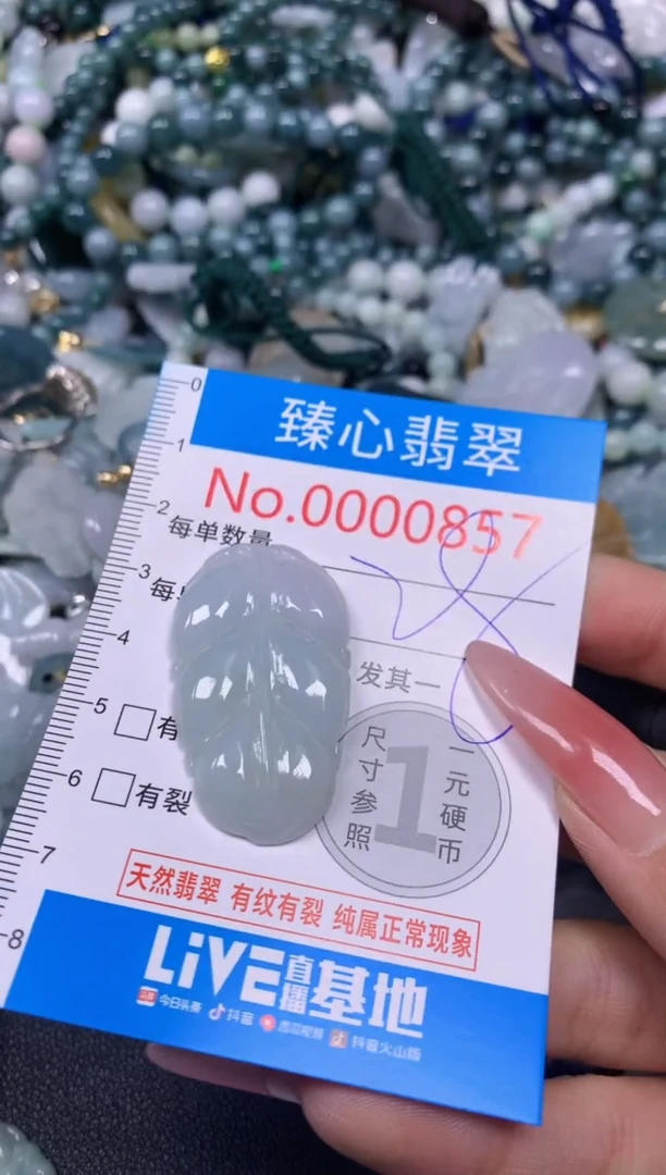 【闪购商品】翡翠颈饰未镶嵌含绳000857