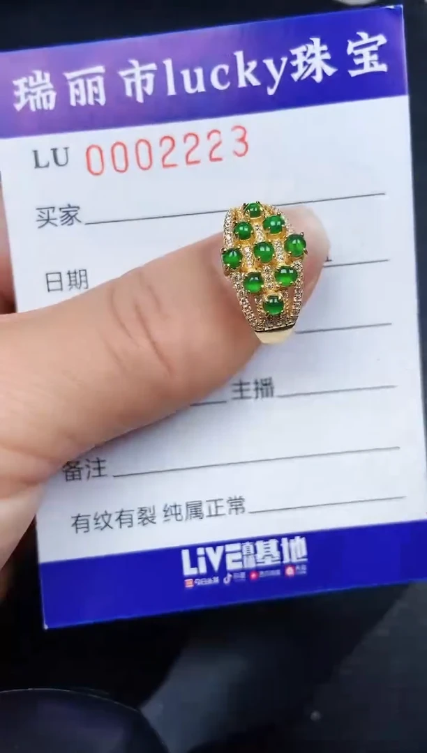 翡翠银S925镶嵌颈饰2223