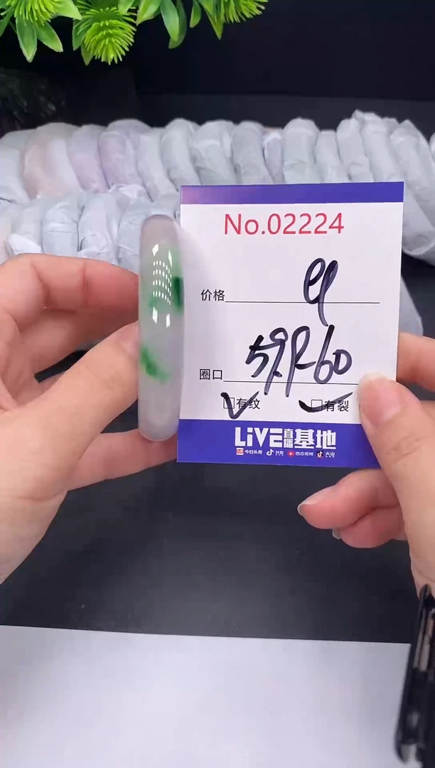未镶嵌手镯翡翠2224