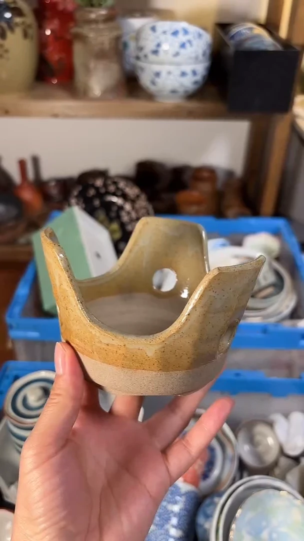 瓷片喵喵家都是大漂亮