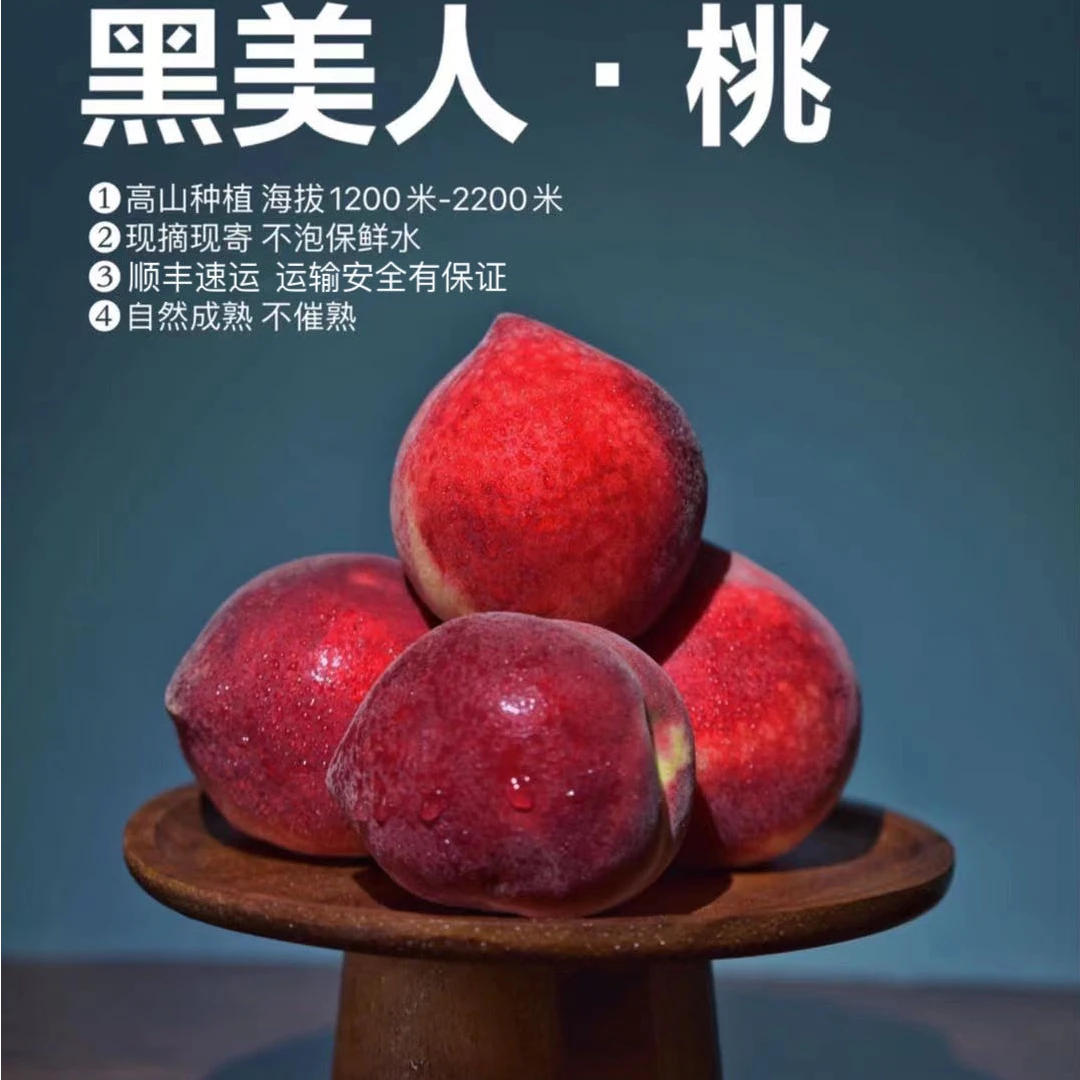 北纬26°攀枝花黑美人脆桃脆甜新鲜采摘包邮产地直发肉厚多汁