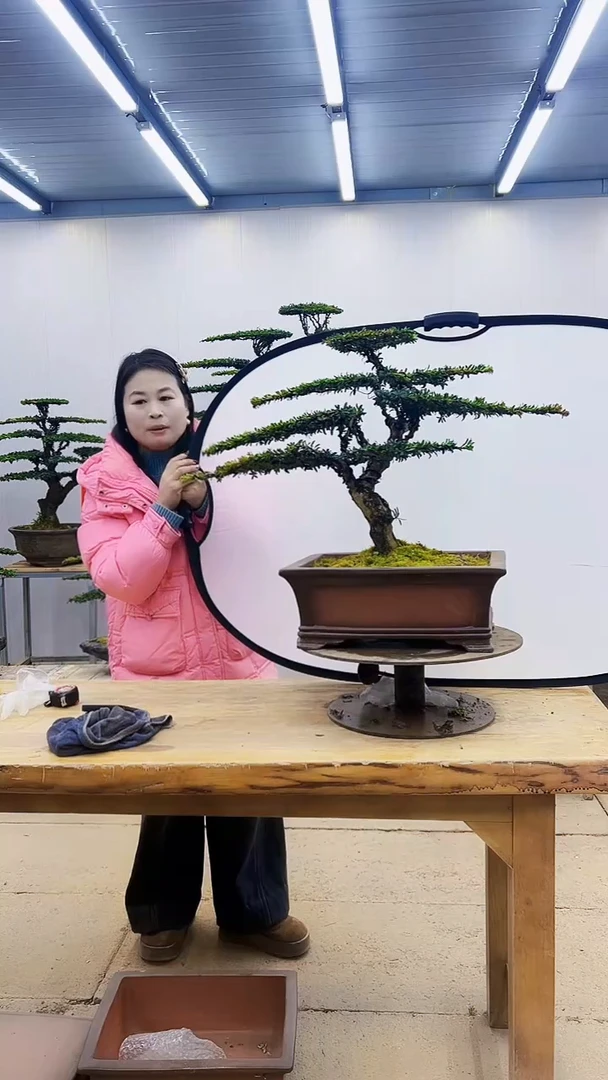 无花朵一物一拍，所见即所得