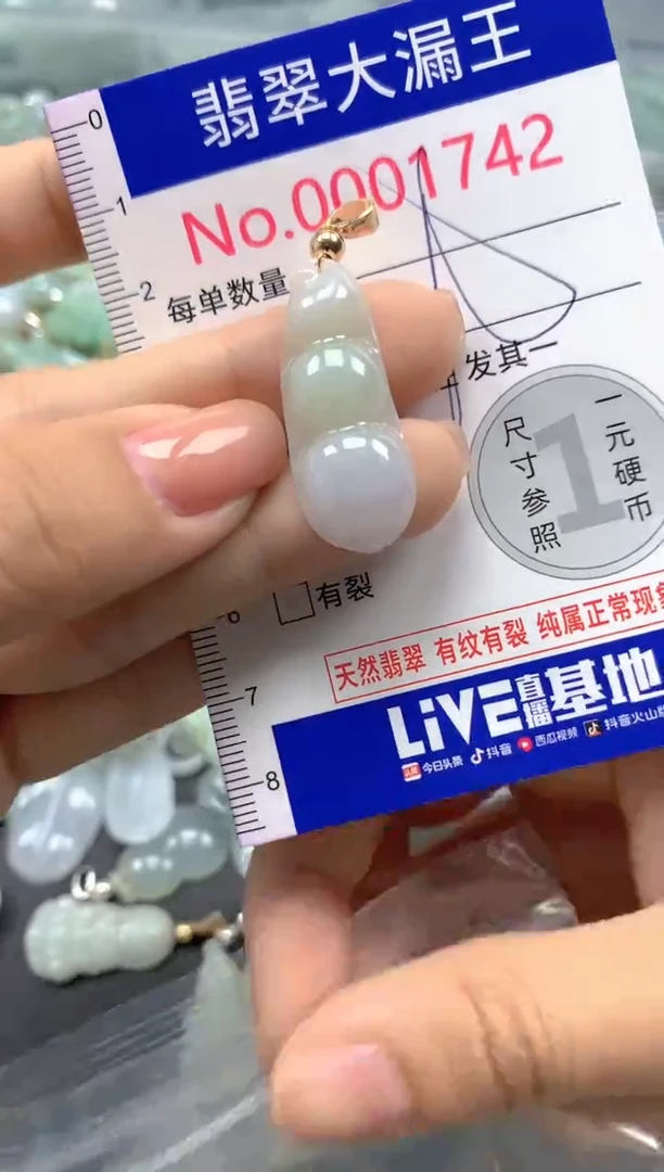 颈饰未镶嵌翡翠1742