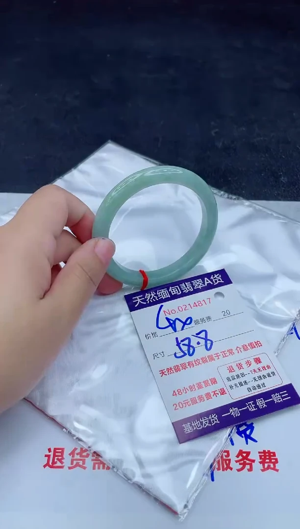 未镶嵌手镯翡翠400.0000