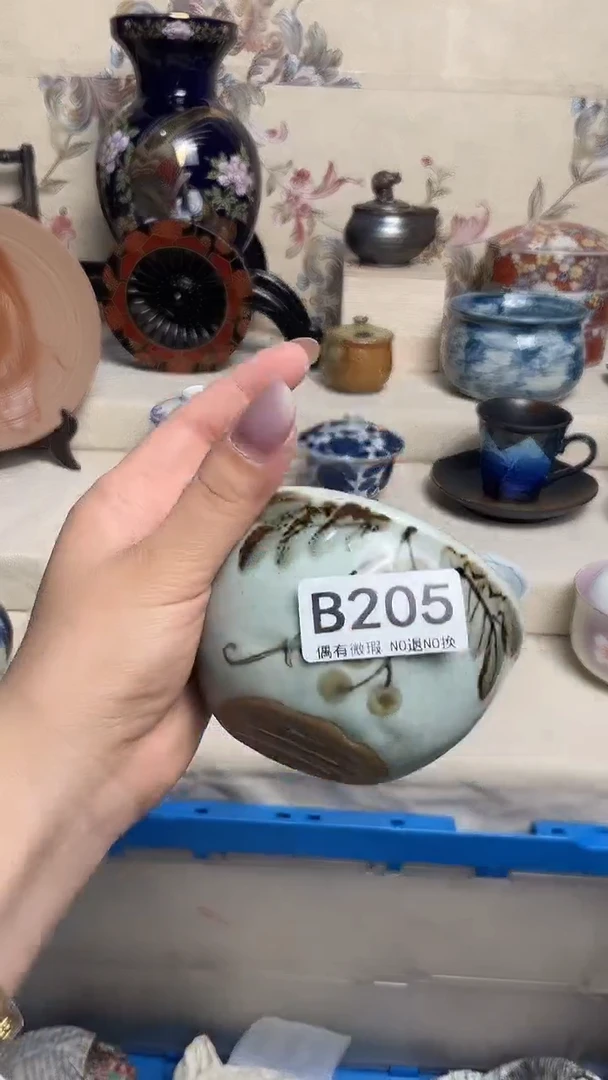 陶瓷瓷片    B205
