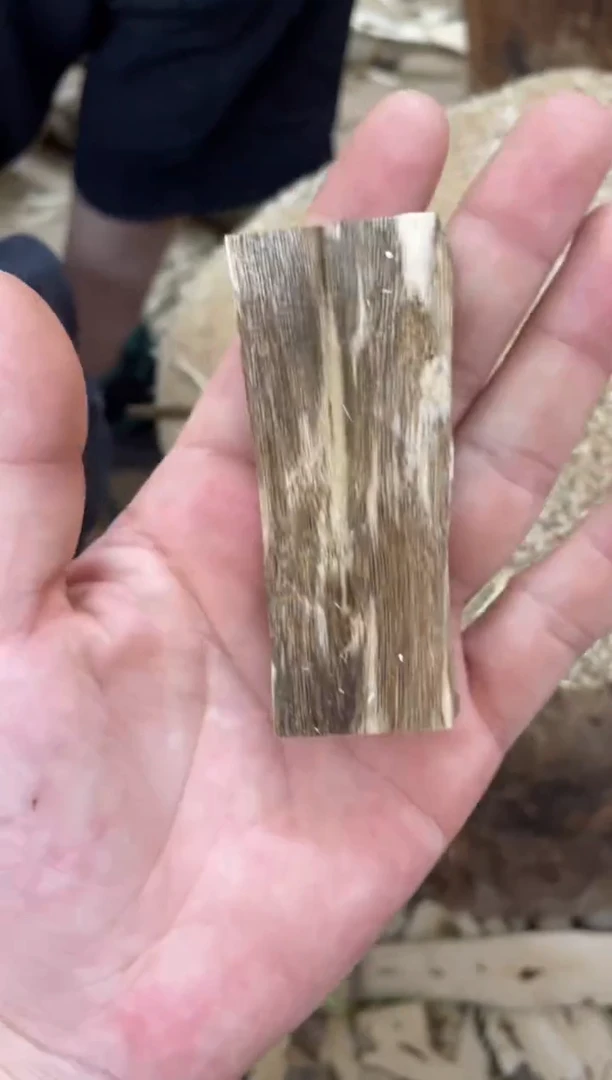 沉香沉香碎屑棋楠沉香 原料文创1