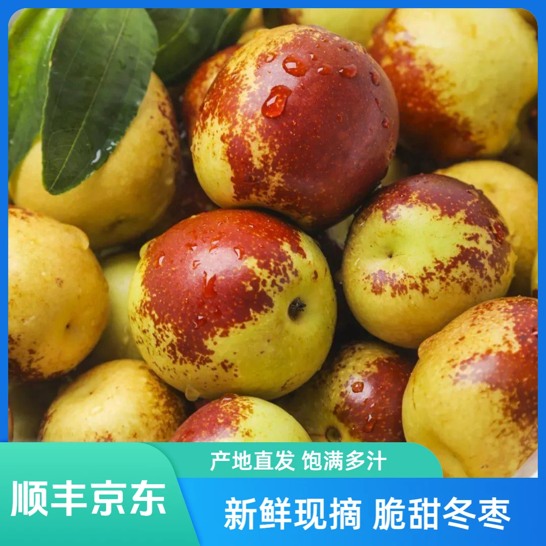 【顺丰京东】现摘脆甜冬枣现发应季新鲜脆甜多汁水果产地直发